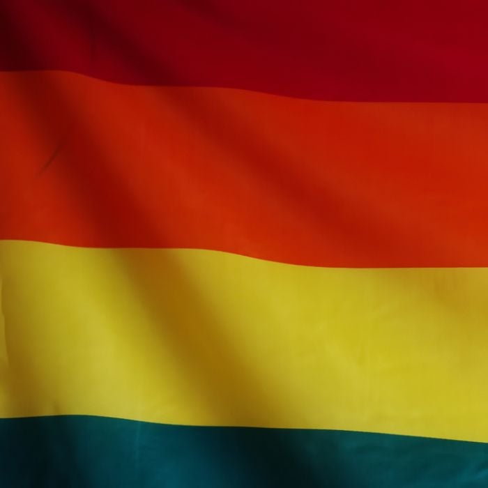  10 influencers LGBTQIAPN+ que você precisa conhecer agora! 