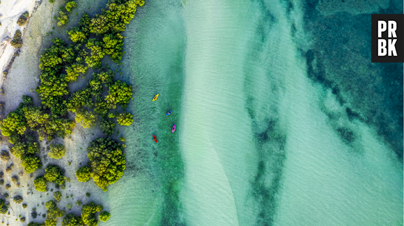 A água dos oceanos está ficando cada vez mais verde