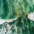 Água verde dos oceanos é sinal de alerta