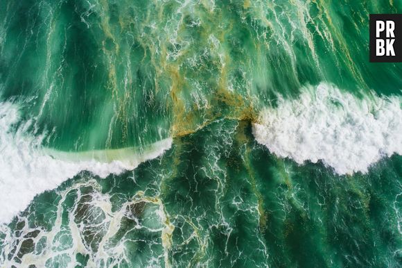 Água verde dos oceanos é sinal de alerta