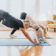 Esse vídeo de um doguinho fazendo yoga e esbanjando flexibilidade vai animar a sua quinta-feira!
