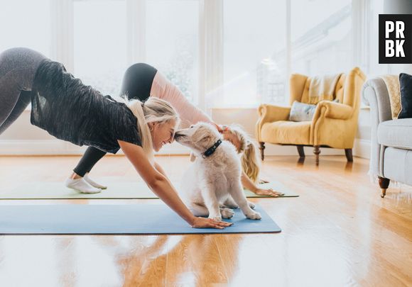 Esse vídeo de um doguinho fazendo yoga e esbanjando flexibilidade vai animar a sua quinta-feira!