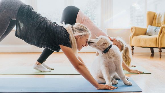 Esse vídeo de um doguinho fazendo yoga e esbanjando flexibilidade vai animar a sua quinta-feira!