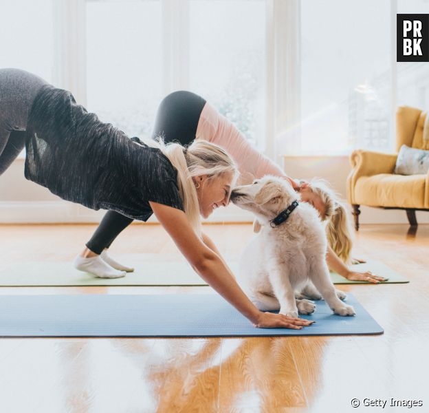 Esse vídeo de um doguinho fazendo yoga e esbanjando flexibilidade vai animar a sua quinta-feira!