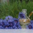  Ama aroma floral? 10 perfumes baratos para quem ama a fragrância 