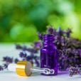  Confira os 10 perfumes baratos para quem ama fragrâncias florais 