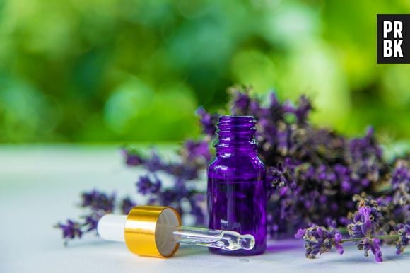 Confira os 10 perfumes baratos para quem ama fragrâncias florais