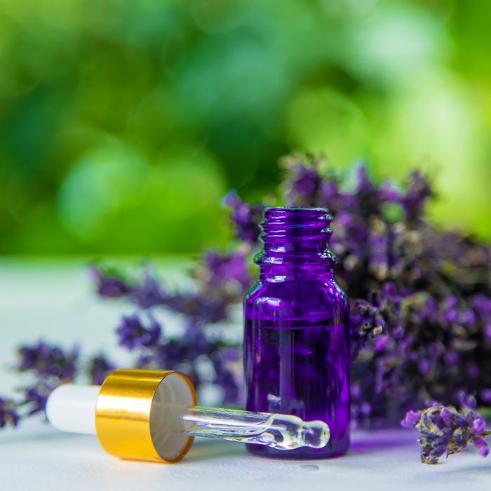  Confira os 10 perfumes baratos para quem ama fragrâncias florais 