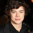 Na época do One Direction, Harry Styles usava o cabelo mais volumoso, com a famosa franja