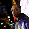  Fãs suspeitam que a decisão de Snoop Dogg em fumar maconha esteja relacionada à sua saúde ou à sua carreira 
