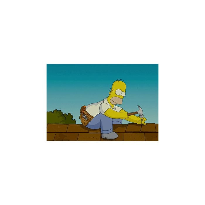  De fracasso o Homer Simpson entende melhor que ningu&amp;eacute;m 