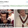 As histórias sobre a volta do Zayn Malik ao One Direction no Twitter já estão deixando os fãs com preguiça