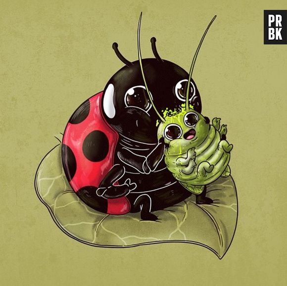 Até a joaninha é feroz! Entre os insetos a lei também é dos mais fortes