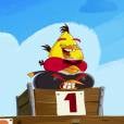  Os passarinhos mais rabugentos dos jogos "Angry Birds", s&atilde;o fofos ao mesmo tempo&nbsp; 