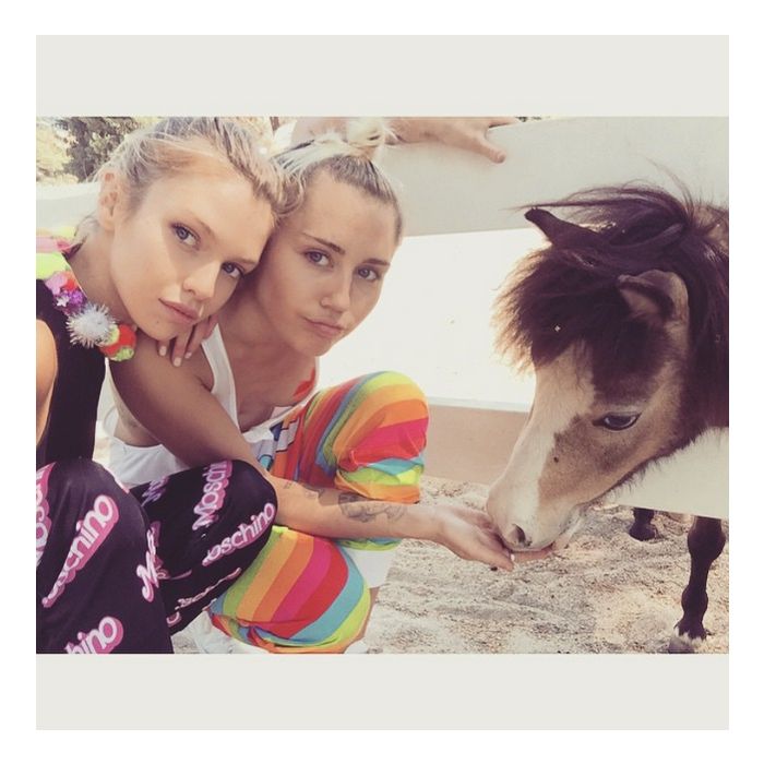  Ao lado de Miley Cyrus, Stella Maxwell gosta muito de cuidar dos animais 