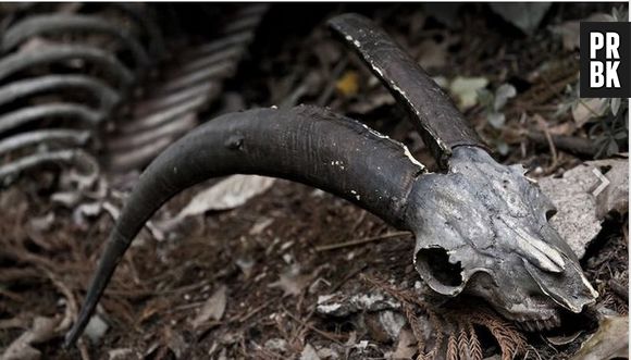 E a história do Opala preto que perseguia os carros que atravessavam os túneis do Rio de Janeiro?