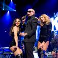 Pitbull se interessou em gravar o remix de "Show das Poderosas" com Anitta 
