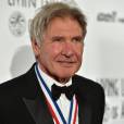 Harrison Ford também comenta a ausência de Luke Skywalker (Mark Hamill) no material de divulgação de "Star Wars VII"