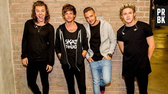 Durante pausa, integrantes do One Direction continuarão trabalhando juntos