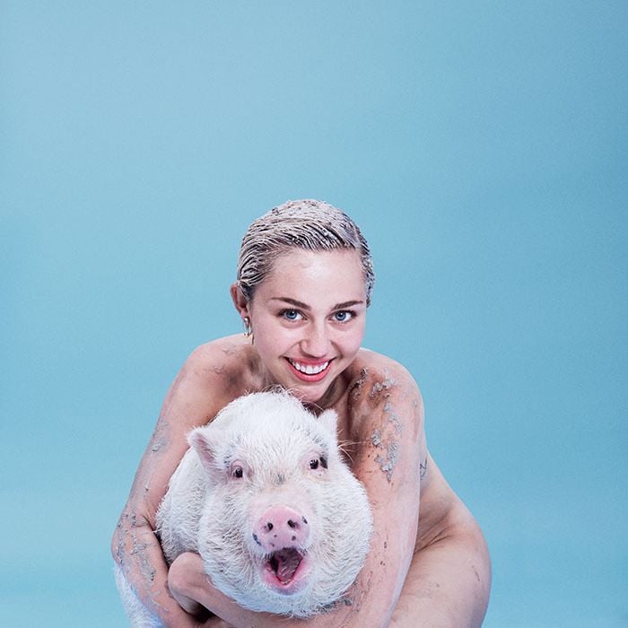  Miley Cyrus e seu porco de estimação, Bubba Sue, diviram as lentes da revista Paper Magazine 
