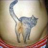 Essa tatuagem no umbigo ficou meio nojenta. Coitado do gatinho!