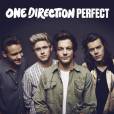Os meninos do One Direction estão no 9º lugar da parada de singles britânica com "Perfect"