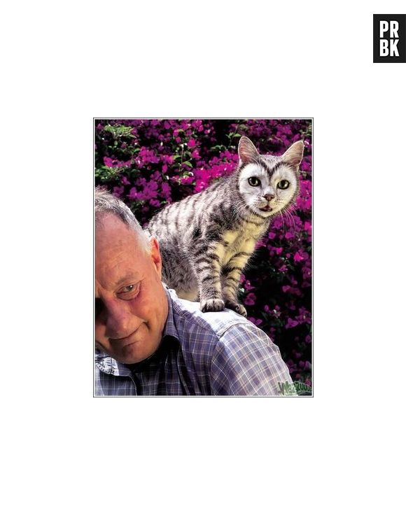 Nossa, se você olhar bem dá até pra confundir esse gato com uma coruja