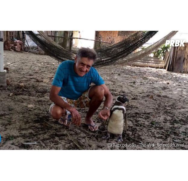 Pinguim vive há quatro anos com João Pereira desde que foi alimentado pela primeira vez