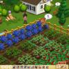 "Farmville 2" é a sequência do sucesso da Zynga