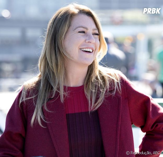 Em Grey S Anatomy Na 14ª Temporada Meredith Deve Ganhar Novo Par Romantico Purebreak