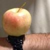 Com vocês o novo, maravilhoso, magnífico Apple Watch!