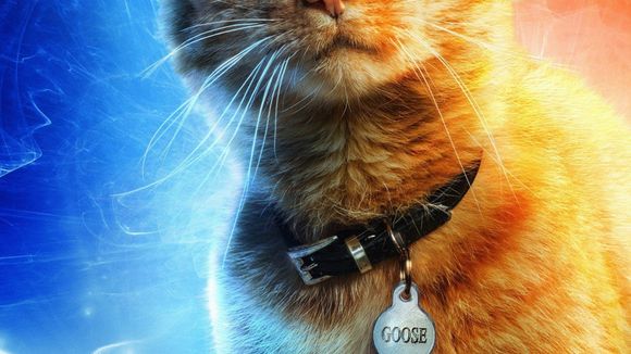 Parece que o gato de estimação da Capitã Marvel será a chave para salvar o MCU
