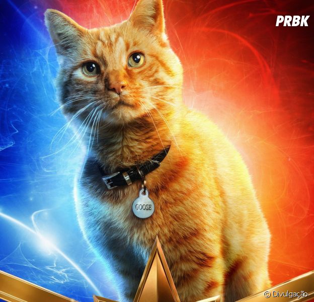 Em "Capitã Marvel", gato Goose pode ser chave para salvar o MCU!