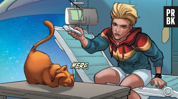 Em "Capitá Marvel", gato Goose é muito importante na história