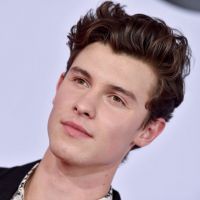 Diga qual é sua cor preferida e te daremos um gif do Shawn Mendes sem camisa