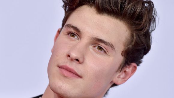 Diga qual é sua cor preferida e te daremos um gif do Shawn Mendes sem camisa