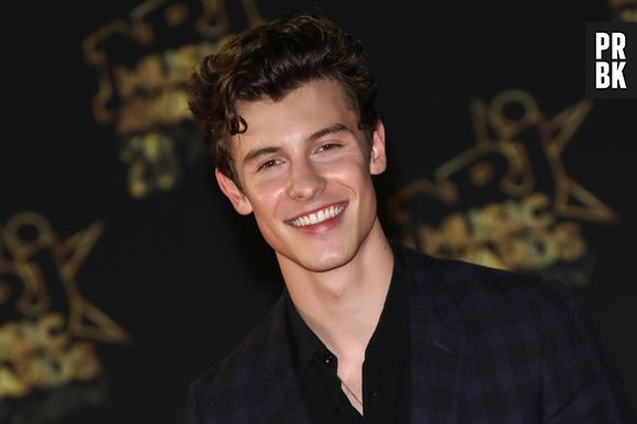 Escolha a cor e te daremos um gif do Shawn Mendes sem camisa