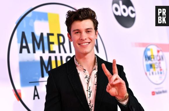 Shawn Mendes sem camisa? Escolha uma cor e te daremos um gif do gato