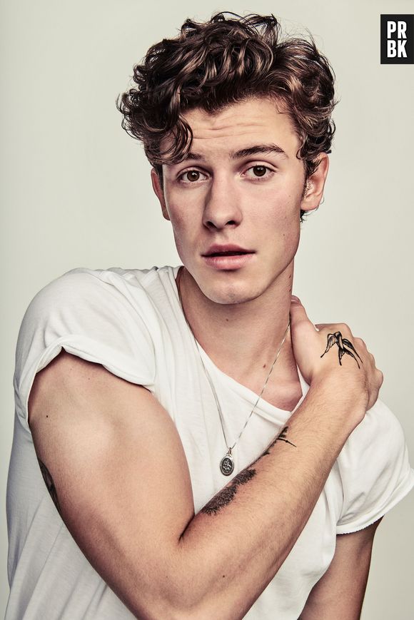 Shawn Mendes descamisado? Escolha uma cor e te daremos um gif!