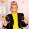 P!nk saiu em defesa dos animais quando tinha 17 anos e defende o estilo de vida vegano desde então