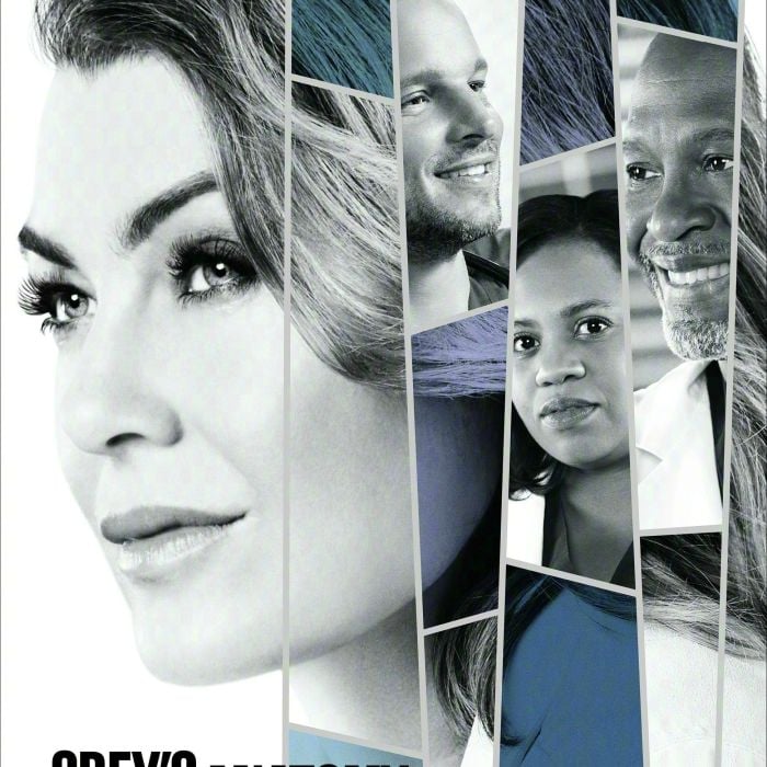 Season finale de &quot;Grey&#039;s Anatomy&quot; mostra Meredith (Ellen Pompeo), Richard (James Pickens Jr.) e Alex (Justin Chambers) sendo demitidos do Grey Sloan Memorial