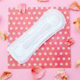  Cansou dos absorventes de sempre? Existem outras opções para o período da menstruação 