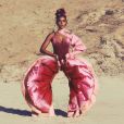 Janelle Monáe faz uma homenagem à vagina na música "Pink"