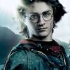 "Henry Potter"? Netflix anuncia "filmes" e fãs de "Harry Potter" viralizam publicação
