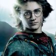 "Henry Potter"? Netflix anuncia "filmes" e fãs de "Harry Potter" viralizam publicação