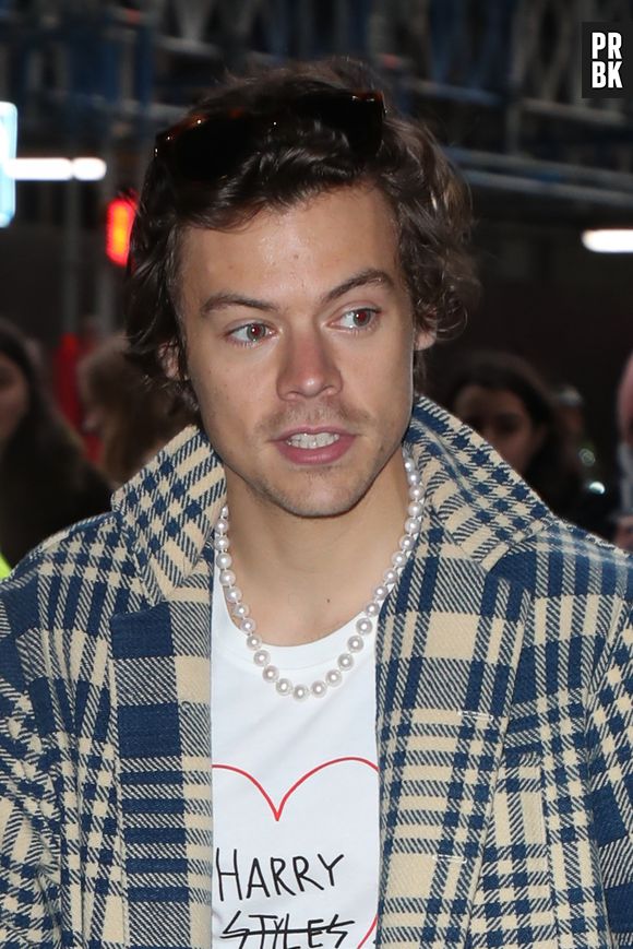 Entenda por que Harry Styles apareceu de maquiagem e meia arrastão em novo ensaio