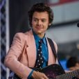 Harry Styles desiste de remarcar shows no Brasil, segundo jornalista