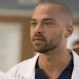 "Grey's Anatomy": 17ª temporada estreia no Brasil em janeiro