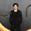 Timothée Chalamet vem se consolidando como referência de estilo