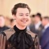 

Harry Styles se confunde e faz declaração para cantora famosa por mensagem!

